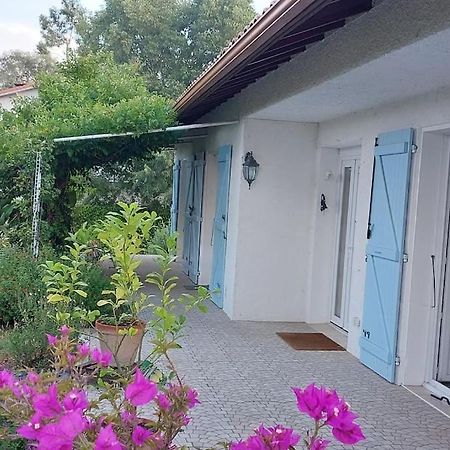 Villa De Charme Avec Piscine Saint-Jory 외부 사진